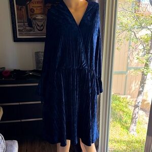 Laundry by Shelli Siegel extra-large, gorgeous velvety navy blue Material.
p6